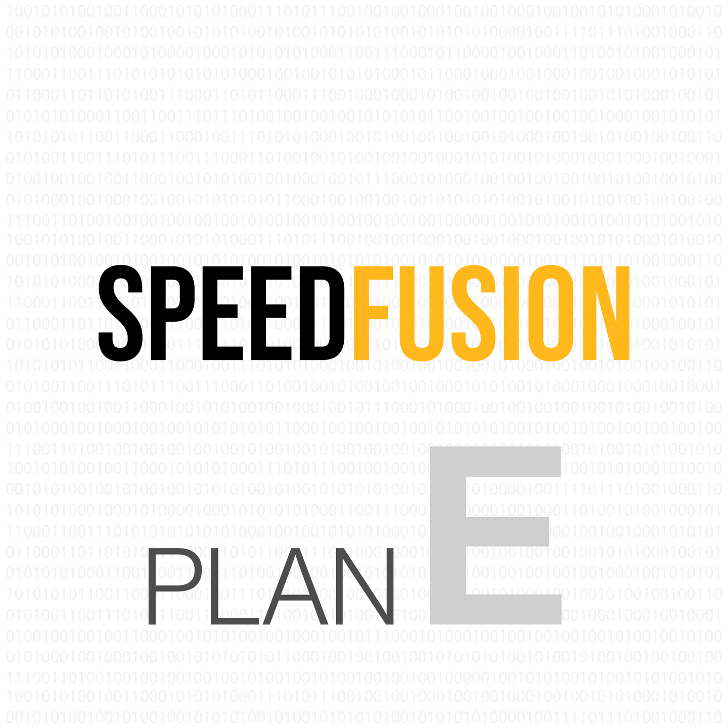 Peplink SpeedFusion Connect Usage - Plan E